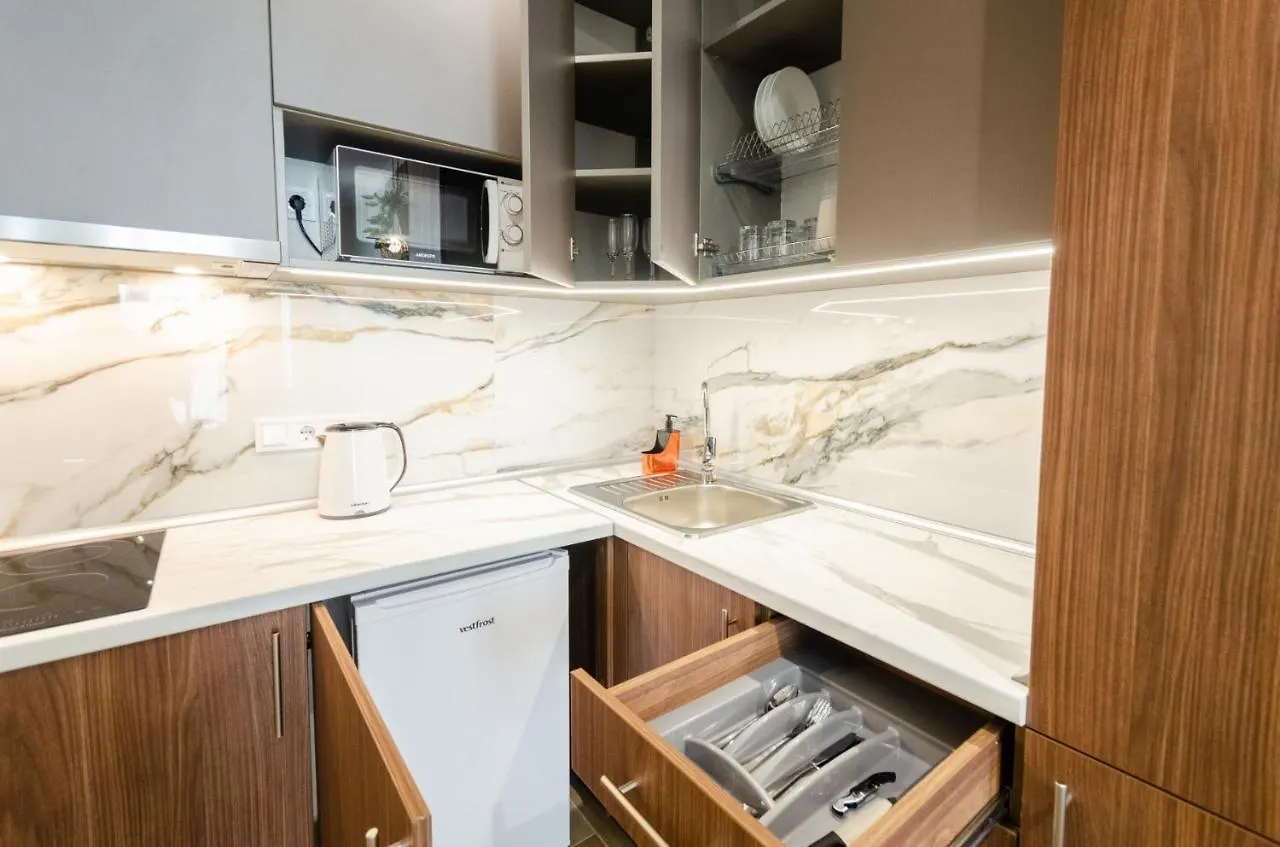 Modern New Cozy Apartment Kvartet Railway Station Kyiv
